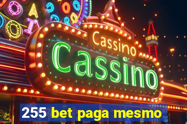 255 bet paga mesmo